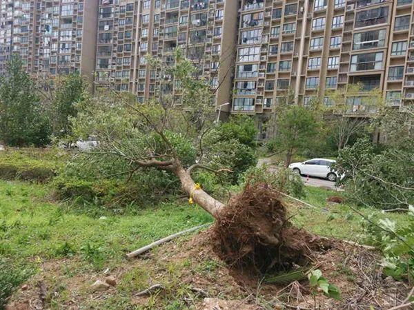 台风黑格比最新动态及其对台州的影响