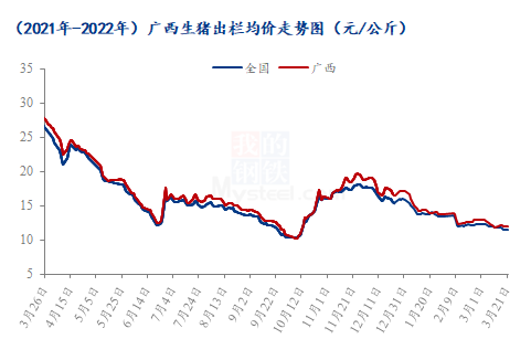 广西猪价最新今日动态分析